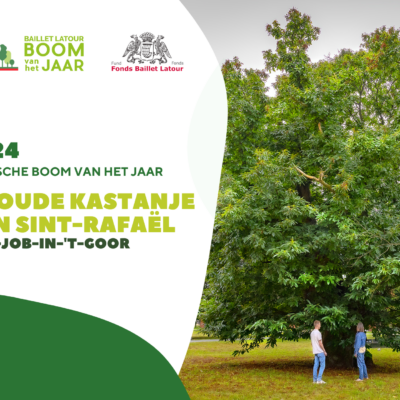 Boom Van Het Jaar 2024 (148 x 105 mm) (2)