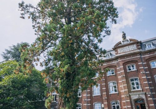 Sequoia_Virton_Web-7-e1634304901576-1067x640